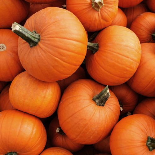 Pumpkins