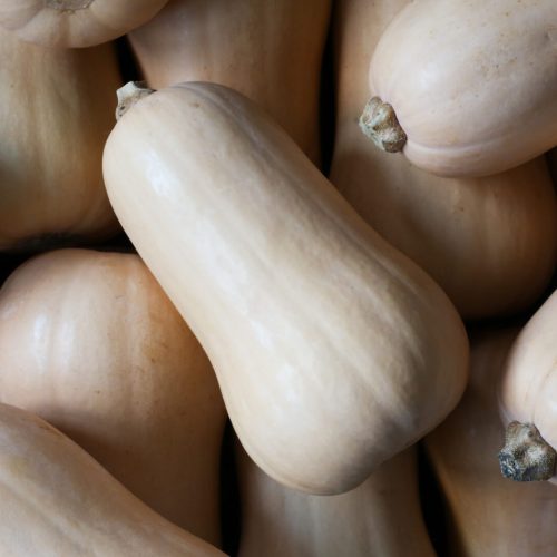 Butternut Squash
