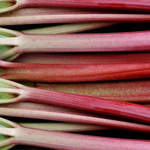 Rhubarb