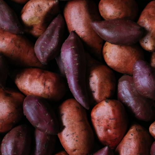 Sweet Potato