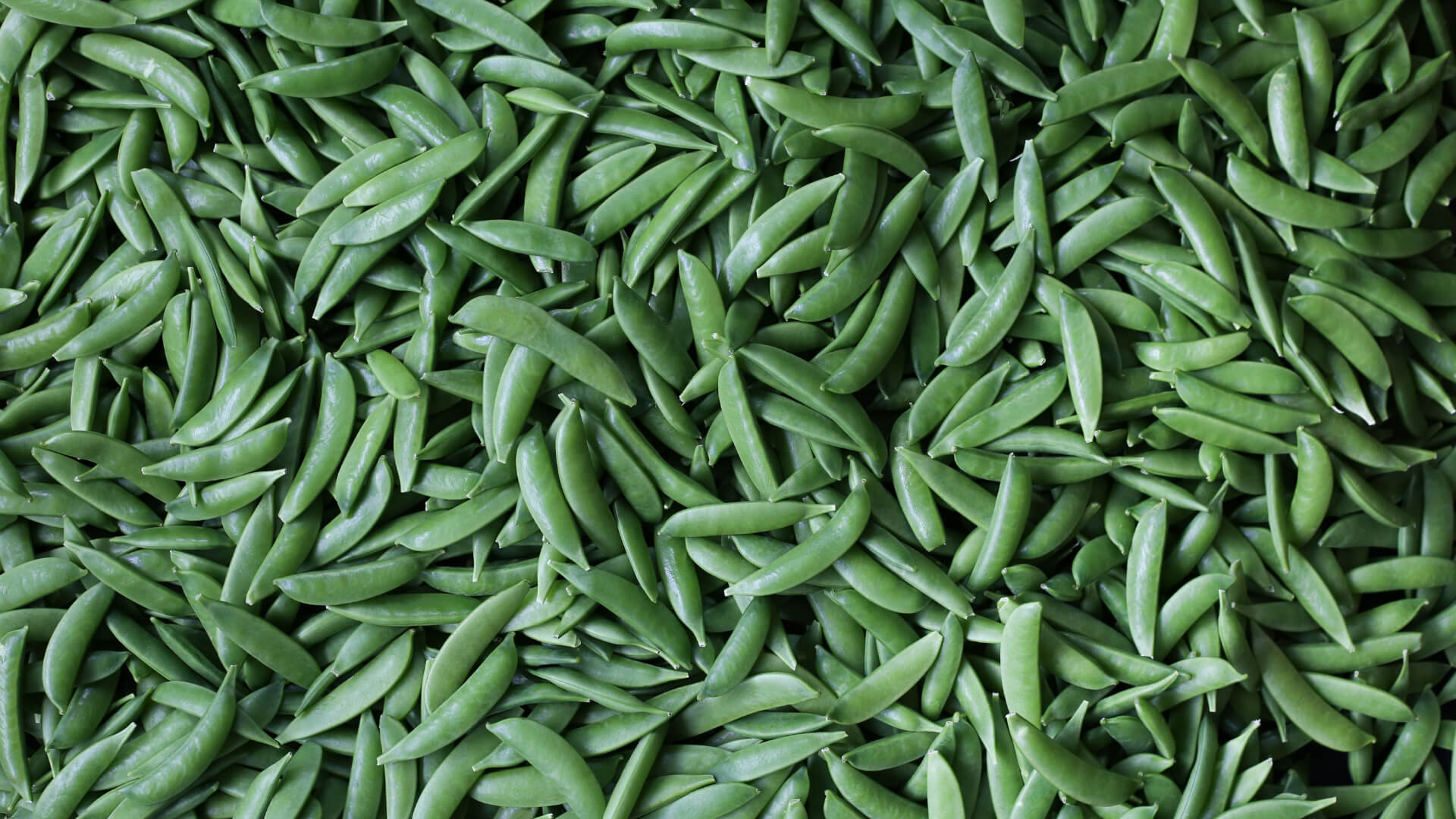 Sugar Snap Peas & Mangetout Barfoots