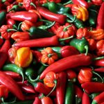 Chillies