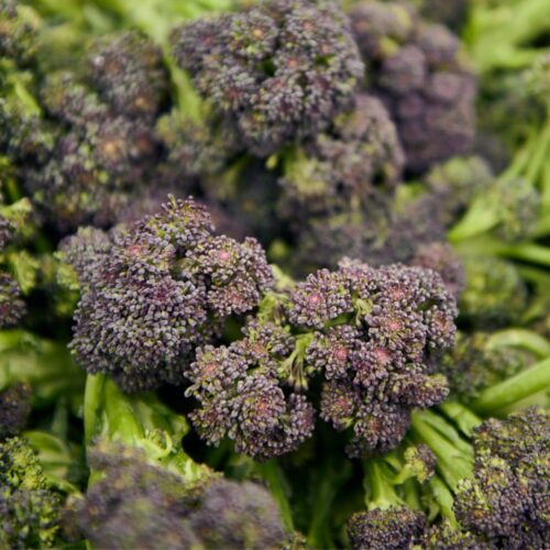 Purple Sprouting Broccoli